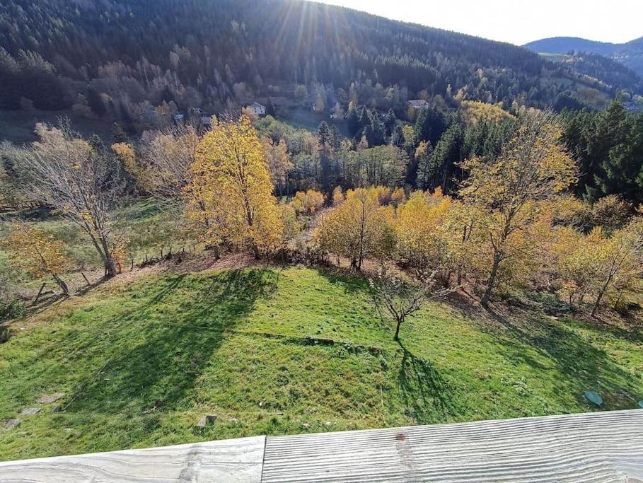 Maison De Montagne Vue Magnifique ヴォントロン エクステリア 写真