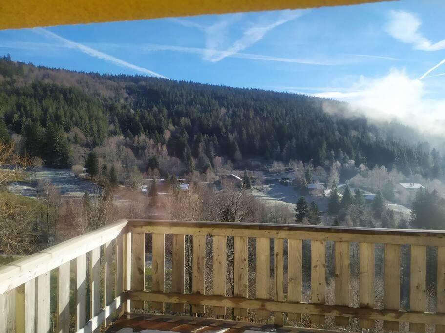 Maison De Montagne Vue Magnifique ヴォントロン エクステリア 写真