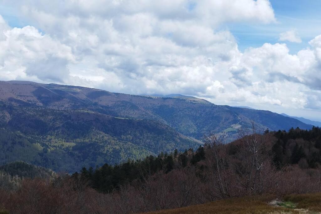 Maison De Montagne Vue Magnifique ヴォントロン エクステリア 写真