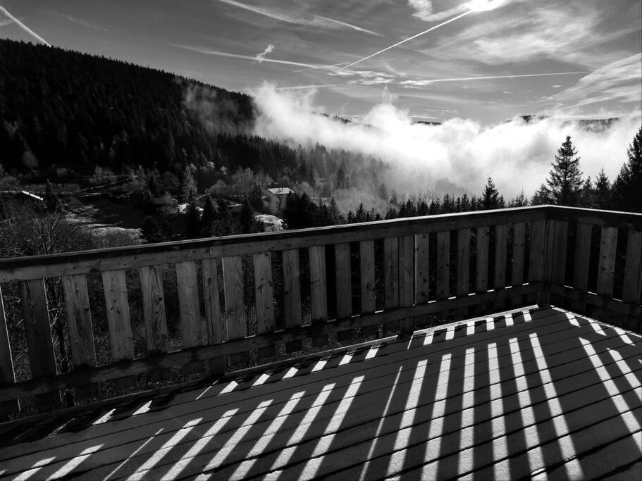 Maison De Montagne Vue Magnifique ヴォントロン エクステリア 写真