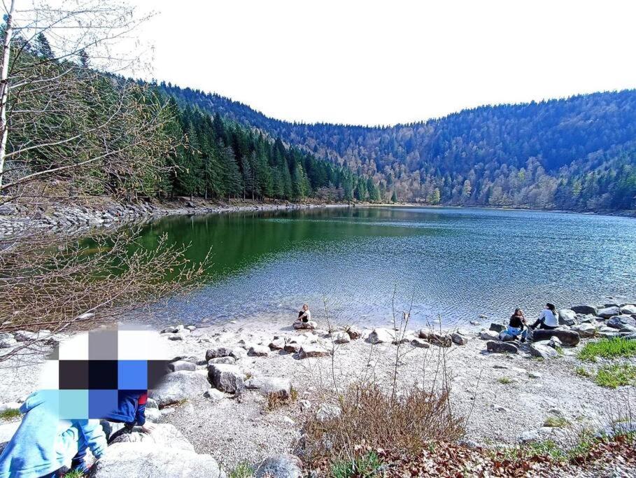 Maison De Montagne Vue Magnifique ヴォントロン エクステリア 写真
