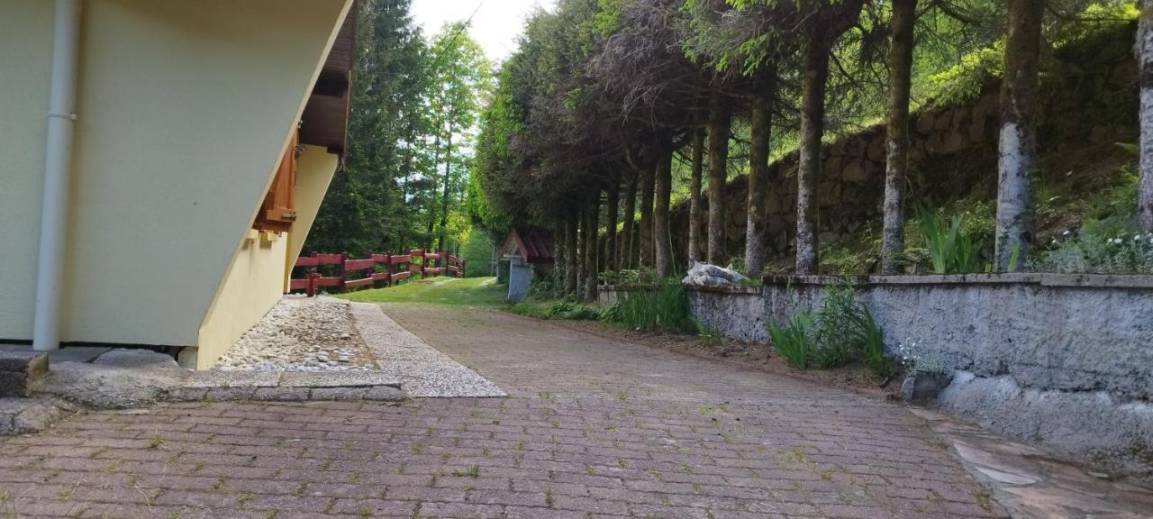 Maison De Montagne Vue Magnifique ヴォントロン エクステリア 写真