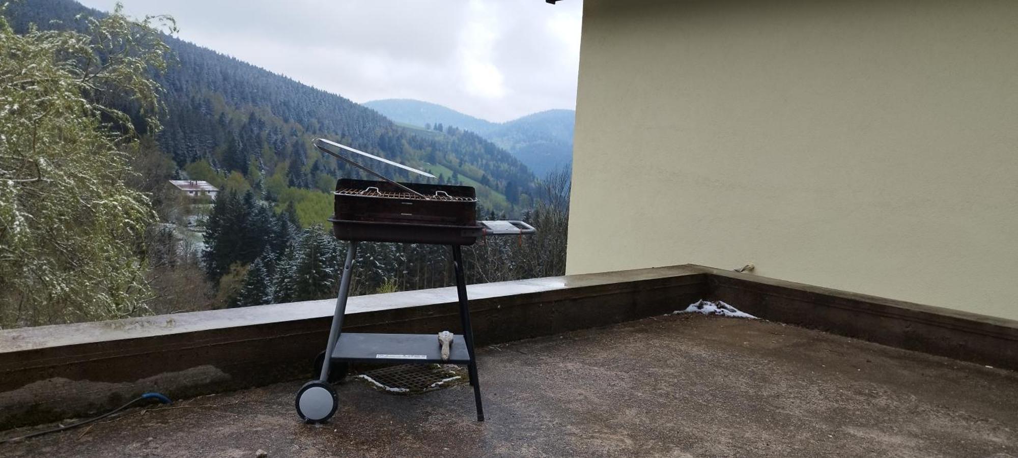 Maison De Montagne Vue Magnifique ヴォントロン エクステリア 写真